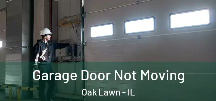  Garage Door Not Moving Oak Lawn - IL