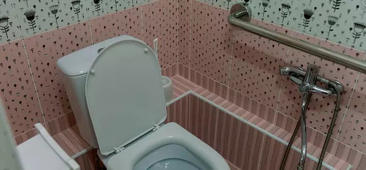 Meeting Diverse Needs With Accessible Restroom Solutions in Oak Lawn, IL